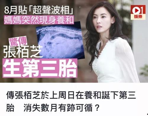 张柏芝爆料新闻事件视频,揭秘事件背后真相  第1张